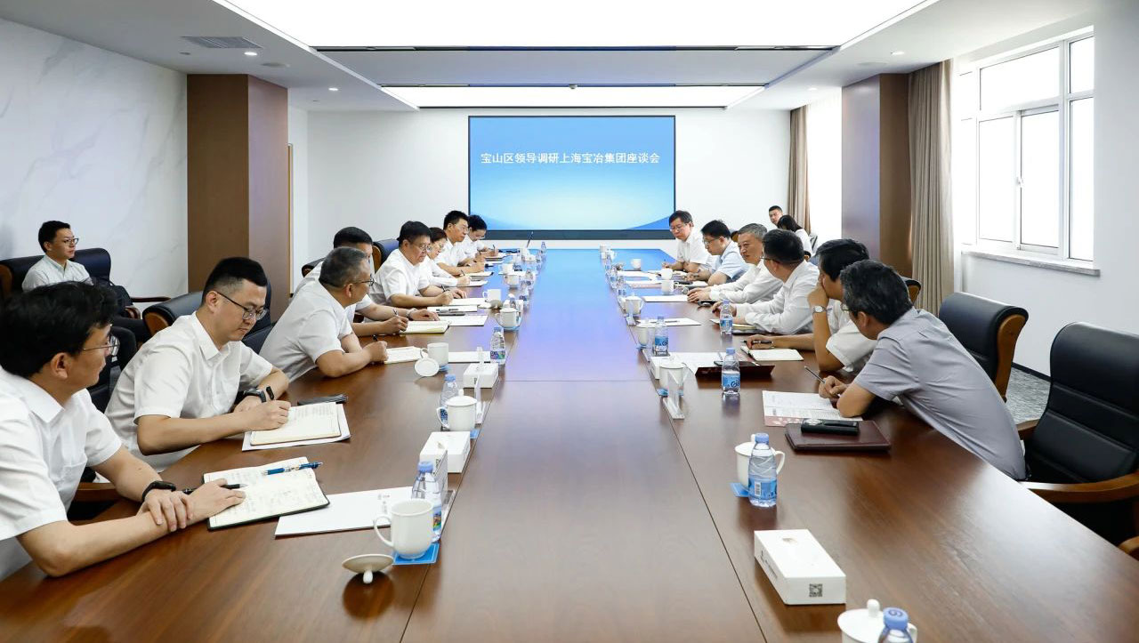 宝山区委书记李晨昊一行调研上海k8凯发